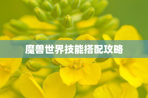 魔兽世界技能搭配攻略 魔兽世界技能搭配攻略