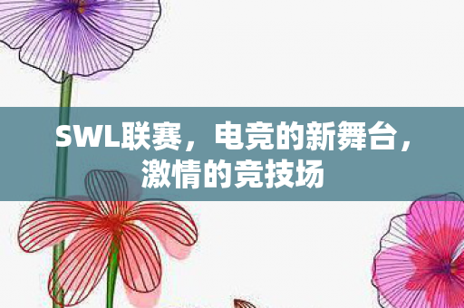 SWL联赛,电竞的新舞台,激情的竞技场 SWL联赛,电竞的新舞台,激情的竞技场