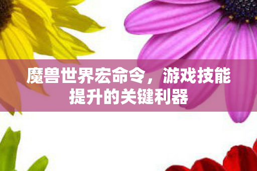 魔兽世界宏命令,游戏技能提升的关键利器 魔兽世界宏命令,游戏技能提升的关键利器