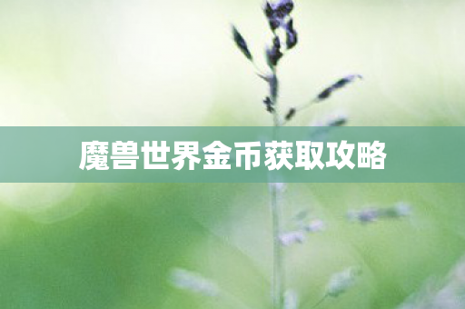 魔兽世界金币获取攻略