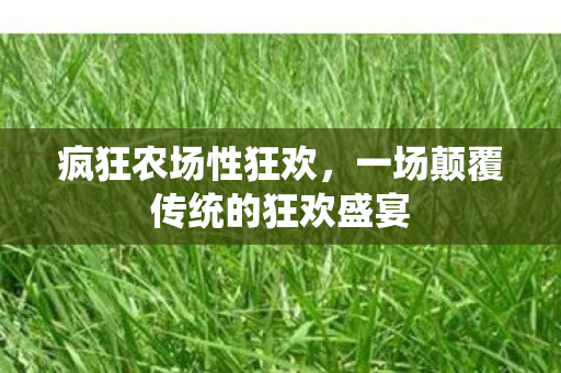 疯狂农场性狂欢,一场颠覆传统的狂欢盛宴 疯狂农场性狂欢,一场颠覆传统的狂欢盛宴