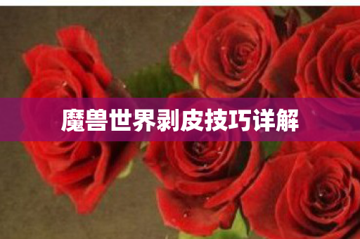 魔兽世界剥皮技巧详解 魔兽世界剥皮技巧详解