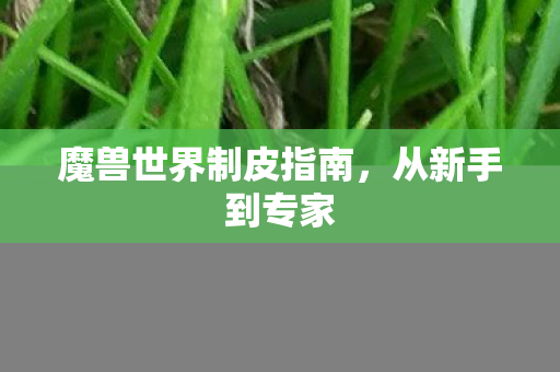 魔兽世界制皮指南,从新手到专家 魔兽世界制皮指南,从新手到专家