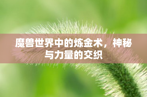 魔兽世界中的炼金术，神秘与力量的交织