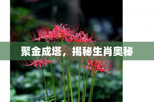 聚金成塔,揭秘生肖奥秘 聚金成塔,揭秘生肖奥秘