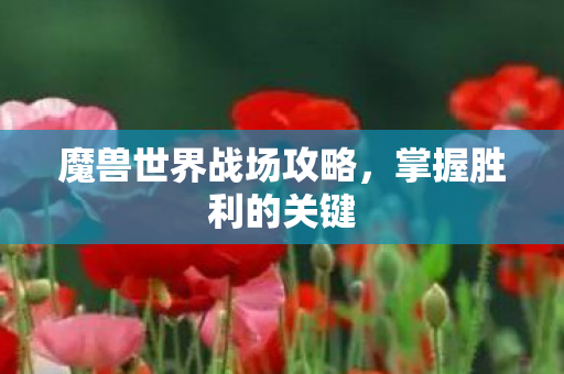魔兽世界战场攻略,掌握胜利的关键 魔兽世界战场攻略,掌握胜利的关键