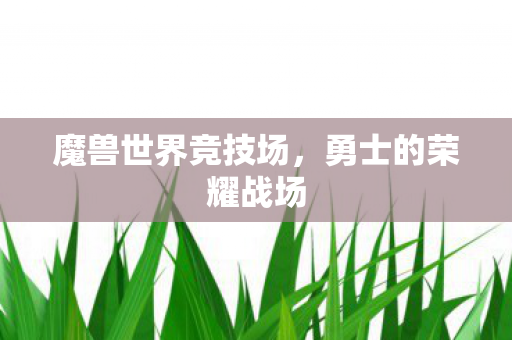 魔兽世界竞技场,勇士的荣耀战场 魔兽世界竞技场,勇士的荣耀战场