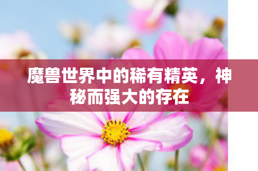 魔兽世界中的稀有精英,神秘而强大的存在 魔兽世界中的稀有精英,神秘而强大的存在