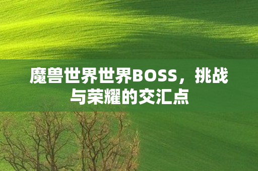 魔兽世界世界BOSS,挑战与荣耀的交汇点 魔兽世界世界BOSS,挑战与荣耀的交汇点
