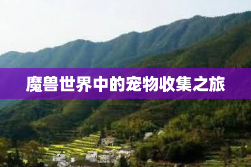 魔兽世界中的宠物收集之旅 魔兽世界中的宠物收集之旅