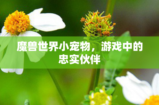 魔兽世界小宠物，游戏中的忠实伙伴