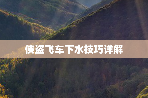 侠盗飞车下水技巧详解