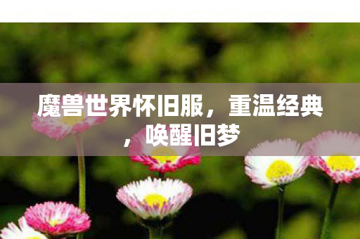 魔兽世界怀旧服,重温经典,唤醒旧梦 魔兽世界怀旧服,重温经典,唤醒旧梦