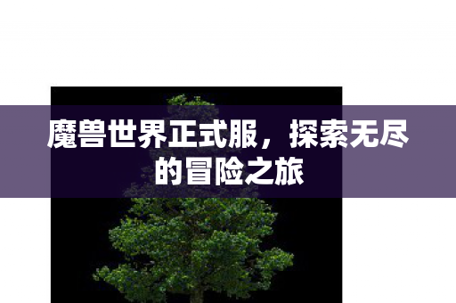 魔兽世界正式服,探索无尽的冒险之旅 魔兽世界正式服,探索无尽的冒险之旅