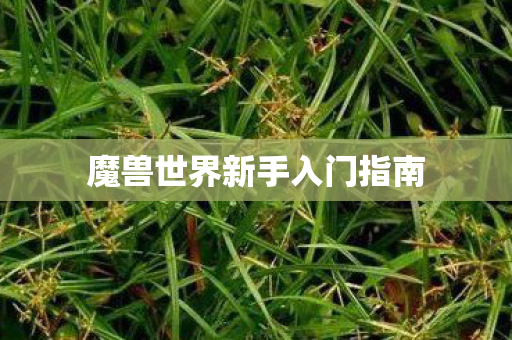 魔兽世界新手入门指南 魔兽世界新手入门指南