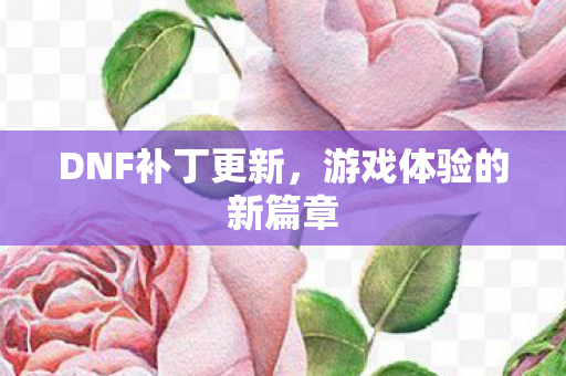DNF补丁更新,游戏体验的新篇章 DNF补丁更新,游戏体验的新篇章
