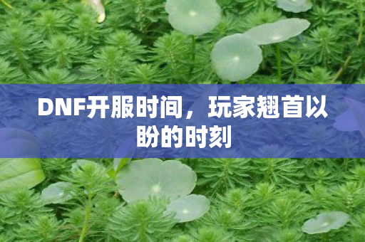 DNF开服时间,玩家翘首以盼的时刻 DNF开服时间,玩家翘首以盼的时刻