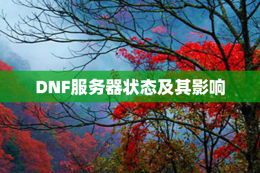 DNF服务器状态及其影响 DNF服务器状态及其影响