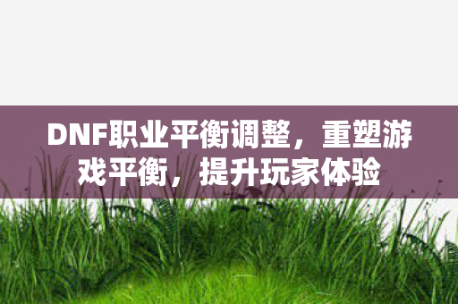 DNF职业平衡调整，重塑游戏平衡，提升玩家体验