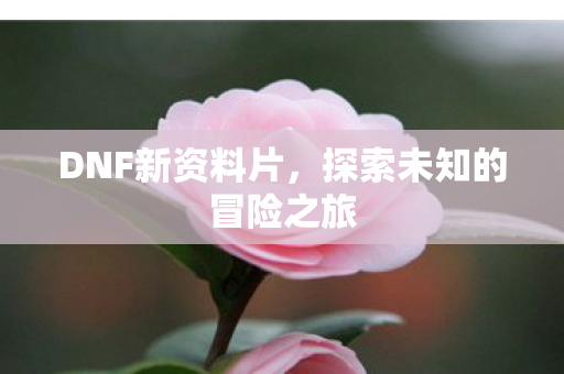 DNF新资料片,探索未知的冒险之旅 DNF新资料片,探索未知的冒险之旅