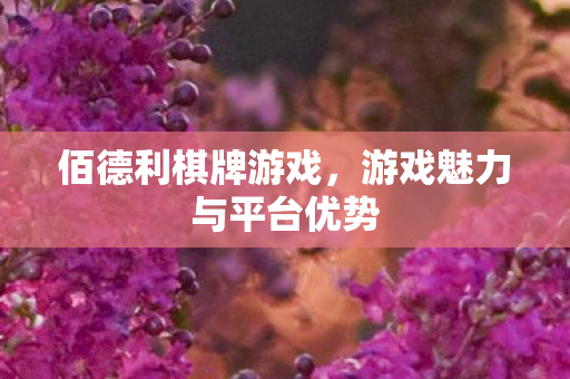 佰德利棋牌游戏,游戏魅力与平台优势 佰德利棋牌游戏,游戏魅力与平台优势