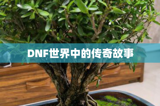 DNF世界中的传奇故事 DNF世界中的传奇故事