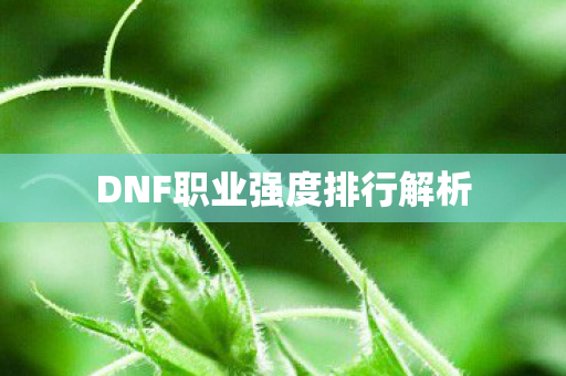 DNF职业强度排行解析