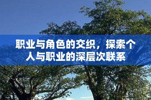 职业与角色的交织,探索个人与职业的深层次联系 职业与角色的交织,探索个人与职业的深层次联系