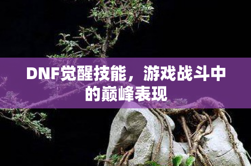 DNF觉醒技能,游戏战斗中的巅峰表现 DNF觉醒技能,游戏战斗中的巅峰表现