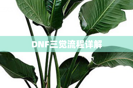 DNF三觉流程详解 DNF三觉流程详解