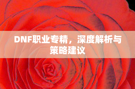 DNF职业专精,深度解析与策略建议 DNF职业专精,深度解析与策略建议
