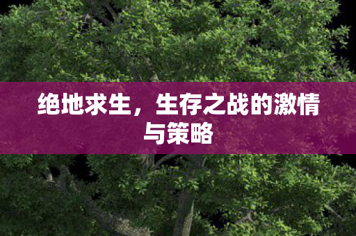 绝地求生，生存之战的激情与策略