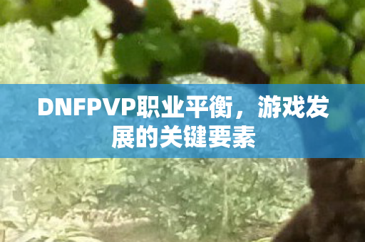 DNFPVP职业平衡,游戏发展的关键要素 DNFPVP职业平衡,游戏发展的关键要素