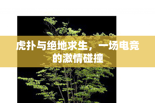 虎扑与绝地求生,一场电竞的激情碰撞 虎扑与绝地求生,一场电竞的激情碰撞