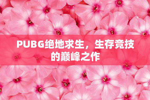 PUBG绝地求生,生存竞技的巅峰之作 PUBG绝地求生,生存竞技的巅峰之作