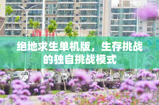 绝地求生单机版,生存挑战的独自挑战模式 绝地求生单机版,生存挑战的独自挑战模式