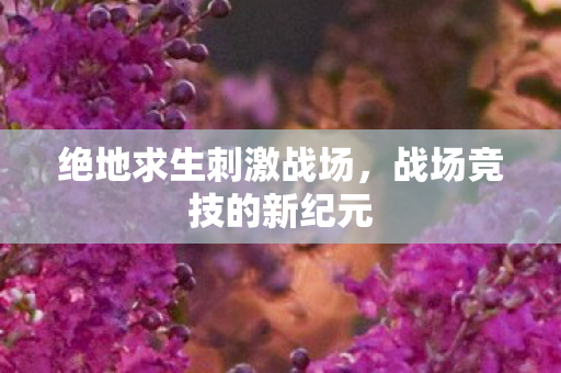 绝地求生刺激战场,战场竞技的新纪元 绝地求生刺激战场,战场竞技的新纪元