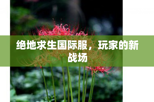 绝地求生国际服,玩家的新战场 绝地求生国际服,玩家的新战场
