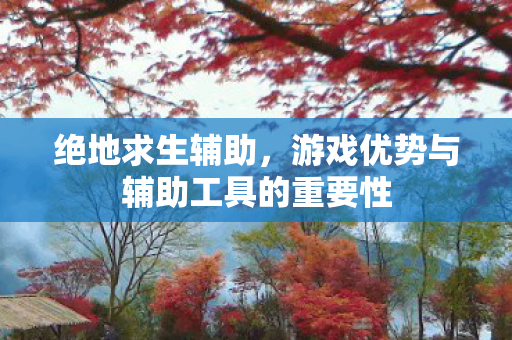 绝地求生辅助,游戏优势与辅助工具的重要性 绝地求生辅助,游戏优势与辅助工具的重要性