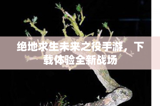 绝地求生未来之役手游,下载体验全新战场 绝地求生未来之役手游,下载体验全新战场