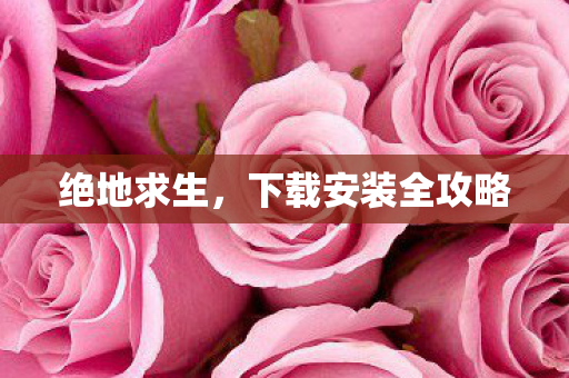 绝地求生,下载安装全攻略 绝地求生,下载安装全攻略