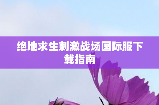 绝地求生刺激战场国际服下载指南 绝地求生刺激战场国际服下载指南