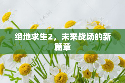 绝地求生2,未来战场的新篇章 绝地求生2,未来战场的新篇章