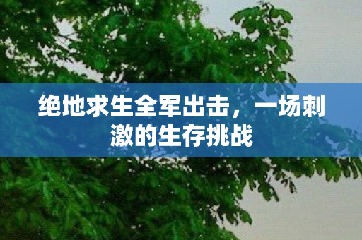 绝地求生全军出击，一场刺激的生存挑战