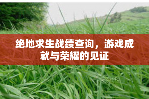 绝地求生战绩查询,游戏成就与荣耀的见证 绝地求生战绩查询,游戏成就与荣耀的见证