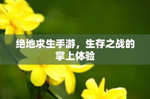 绝地求生手游,生存之战的掌上体验 绝地求生手游,生存之战的掌上体验