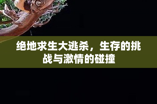 绝地求生大逃杀,生存的挑战与激情的碰撞 绝地求生大逃杀,生存的挑战与激情的碰撞