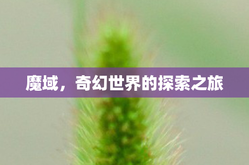 魔域,奇幻世界的探索之旅 魔域,奇幻世界的探索之旅