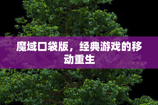 魔域口袋版,经典游戏的移动重生 魔域口袋版,经典游戏的移动重生