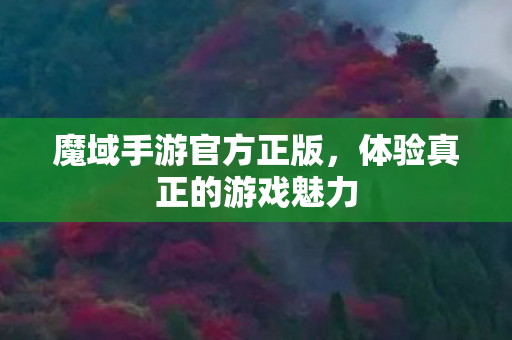 魔域手游官方正版,体验真正的游戏魅力 魔域手游官方正版,体验真正的游戏魅力